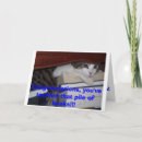 Search for humerous cards Cat