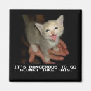 Search for dangerous magnets Cat