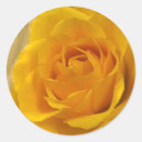 Search for rose petal stickers Roses