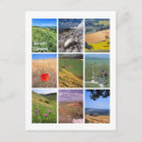 Search for seven postcards Sussex