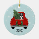 Search for border collie christmas decor Dogs