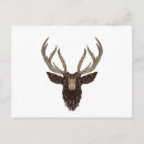 Search for antler horizontal postcards Stag