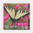 Search for watcher magnets Birds and blooms