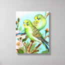 Search for parakeet canvas prints Nature