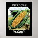 Search for vintage seed packets posters Advertising