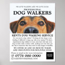 Search for dog walking advertising Animal care