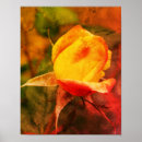 Search for highlight art Photography