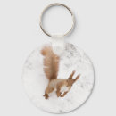 Search for red squirrel key rings Winter