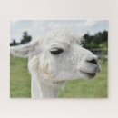 Search for alpaca puzzles Llama