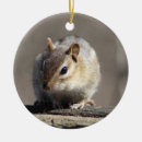 Search for chipmunk christmas tree decorations Woods
