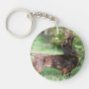 Search for dachshund long haired key rings Chocolate and tan
