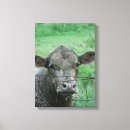 Search for steer art Blue