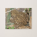 Search for european puzzles Nature