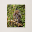 Search for squirrel puzzles Rodent