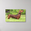 Search for miniature art Black and tan