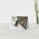 Search for mallards cards Animal