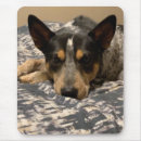 Search for heeler mouse mats Australian cattle dog
