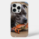 Search for its iphone cases Pet