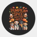 Search for everything stickers Pets