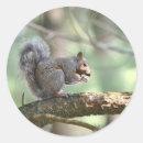 Search for lunch stickers Cute