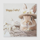 Search for baskets easter cards Rabbit