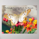 Search for peacock quote Encouragement
