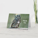 Search for tree branches cards Owl