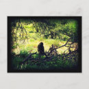 Search for baboon horizontal postcards Wild