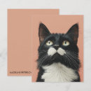 Search for cat humor note cards Cute