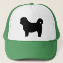 Search for shih hats Shitzu