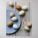 Search for nutrients posters Freshness