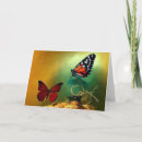 Search for flying butterfly cards Colourful