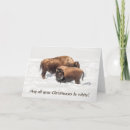 Search for national park christmas cards Wildlife