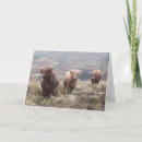 Search for scots cards Highland