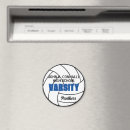 Search for volleyball magnets Blue