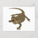 Search for bearded horizontal postcards Beardie