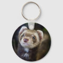 Search for pet ferret key rings Ferrets