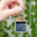 Search for the shadow key rings Earth