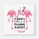 Search for flocking magnets Funny