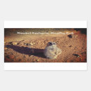Search for meerkat stickers Mongoose