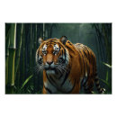 Search for predatory posters Big cats