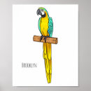 Search for ara art Bird