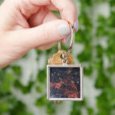 Search for stellar key rings Astronomy
