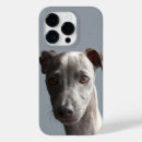 Search for funny iphone 14 pro cases create your own