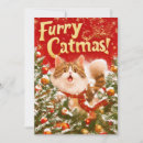 Search for crazy cat christmas cards Xmas