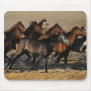 Search for arabs mouse mats Desert
