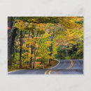 Search for canopy postcards Fall