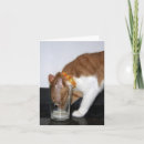Search for cat in glasses cards Pet