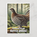 Search for birder vertical postcards Bird lover