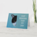 Search for black cat get well cards Cute